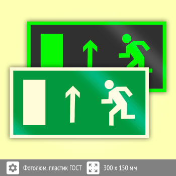 Знак E12 «Направление к эвакуационному выходу прямо (левосторонний)» (фотолюминесцентный пластик ГОСТ 34428-2018, 300х150 мм)